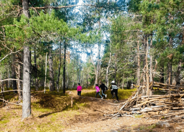 Trolldalen på Henriksdalsberget mellan Henriksdalsringen, Finnboda och Svindersviken