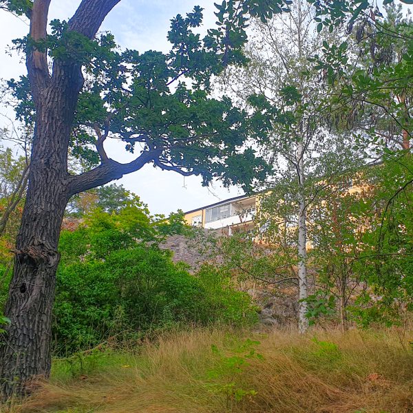 Becksjudarvägen bakom Svindersberg i Finntorp