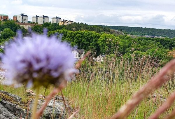 Finntorp, Svindersberg och Nackareservatet sedda från Trolldalen på Henriksdalsberget
