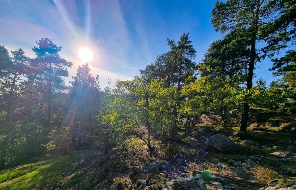 Solen skiner över Trolldalen på Henriksdalsberget