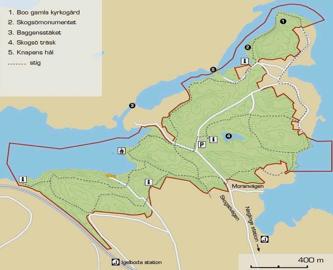 Skogsö naturreservat