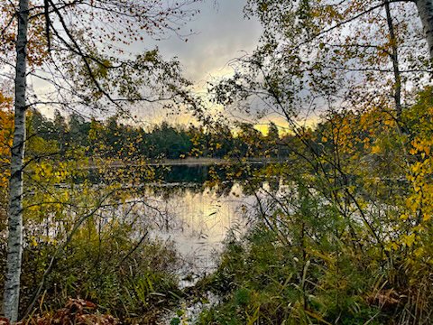 Strålsjön vid Erstavik i Nacka
