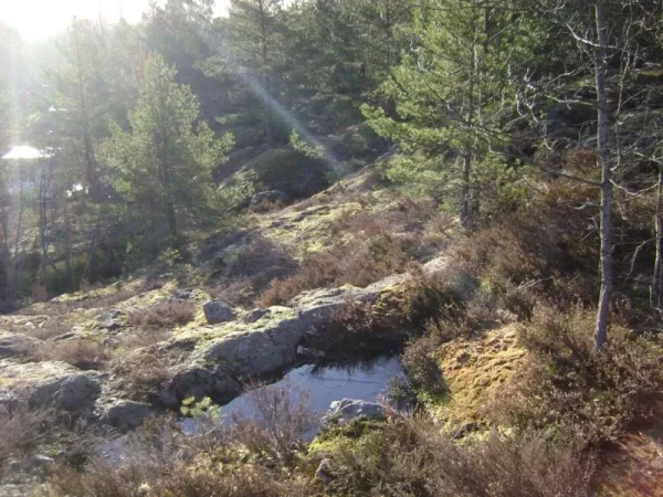 Morgonljus över Ryssbergen mittemot Kvarnholmen