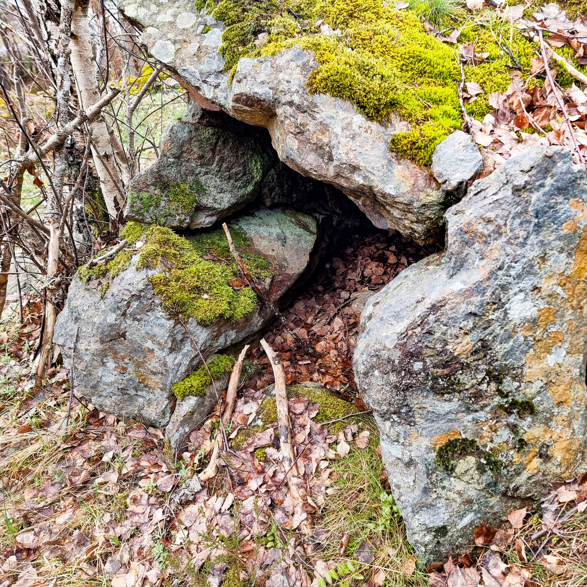 Ryssugnen på Fågelberget i Orminge