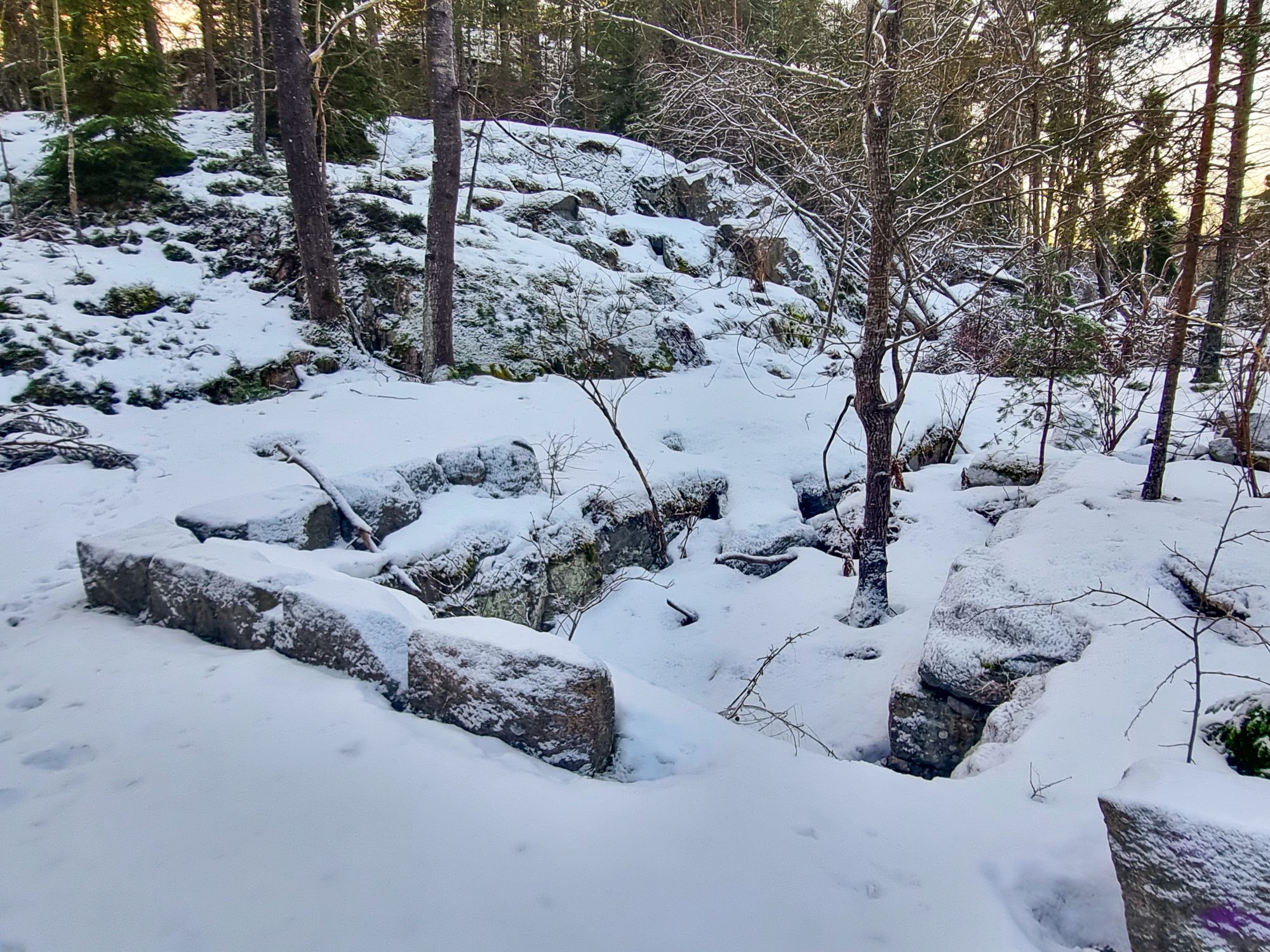 Resterna efter banvaktstugan Vinterbrinken i Fisksätra