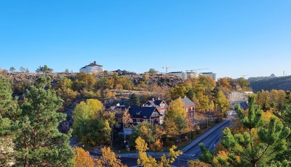 Byggkranar i fjärran sedda från Trolldalen. ProAstris verksamhetsanalys av kommunens stadsutvecklingsprojekt.