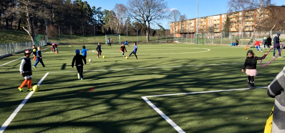 Fotbollsplan i Fisksätra